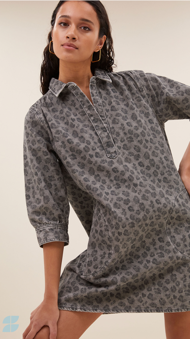 Flynth grey vheetah dress 803-Grey Cheeta